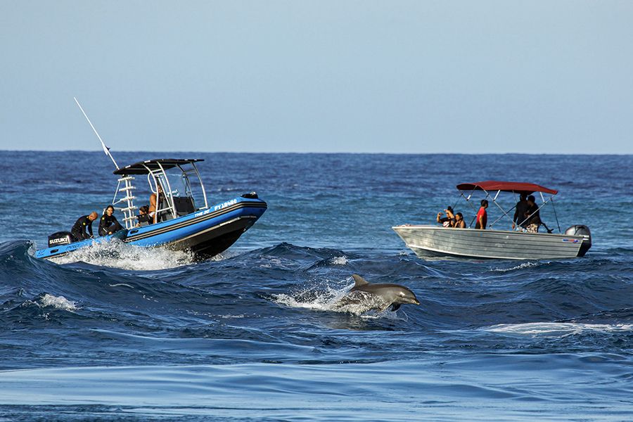 DIVE BOAT IN TIPUTA PASS